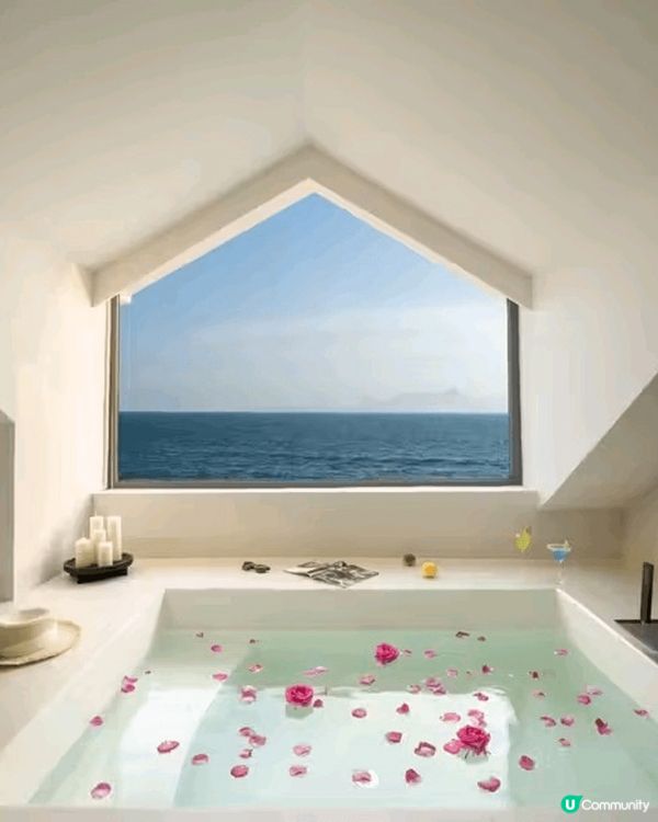 酸菜魚勁流行。花顏色新奇。酒店新開