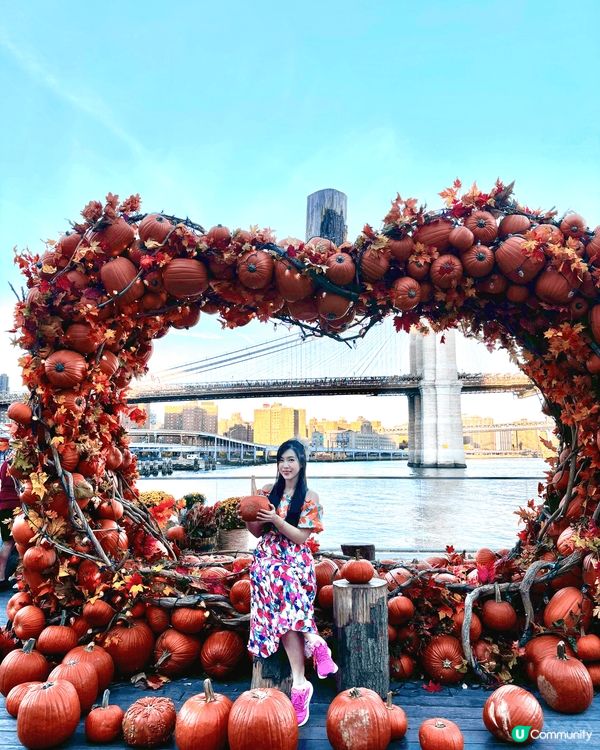 這是紐約Pier 17的打卡熱點，最美打卡位是面對Brook...