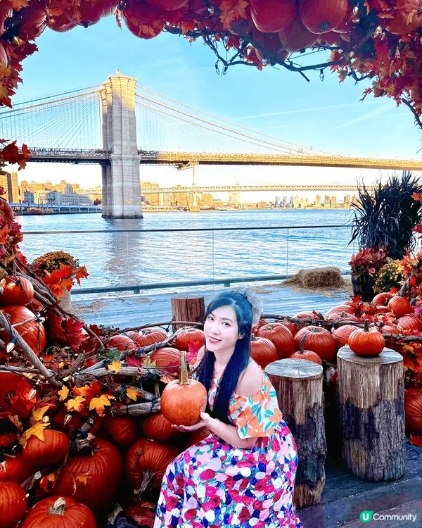 這是紐約Pier 17的打卡熱點，最美打卡位是面對Brook...