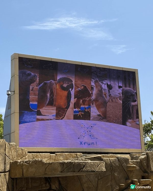 台北桃園X-Park水族館，台北西門町沫調啤，高雄壽山動物園...