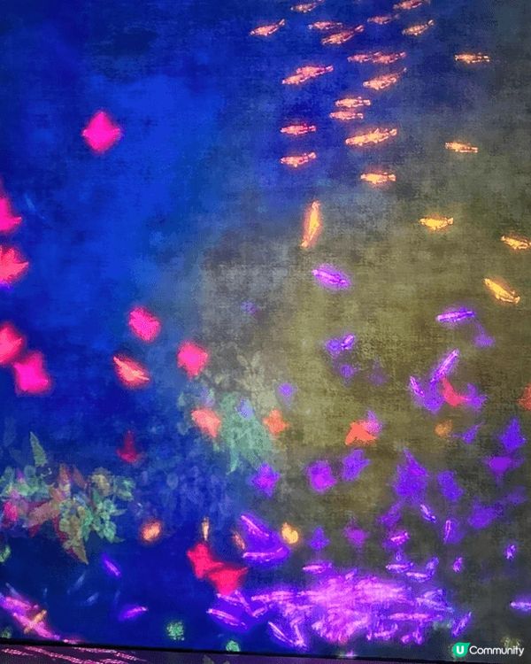 深圳中洲灣C Future City 有很多打卡點, 如室內...