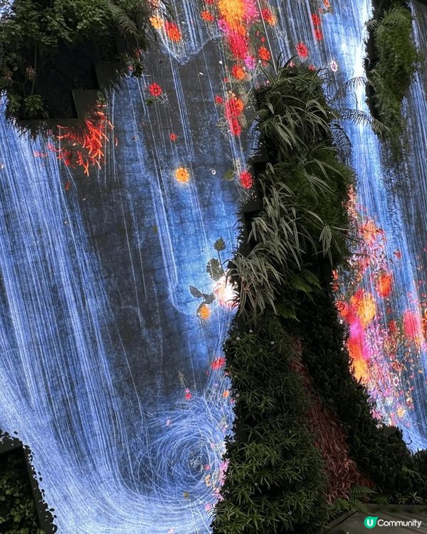 深圳中洲灣C Future City 有很多打卡點, 如室內...