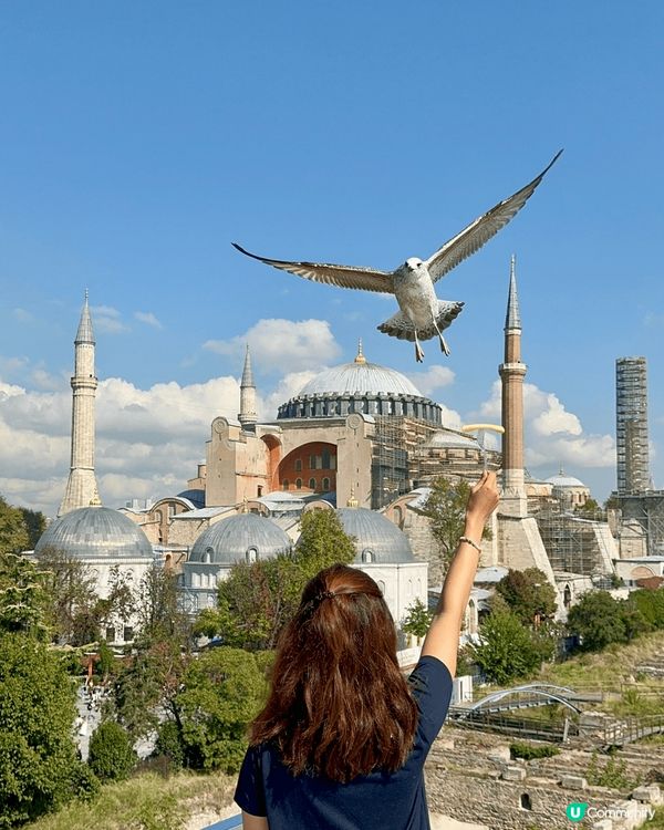 土耳其免費餵雀，仲有靚景一齊打埋卡。