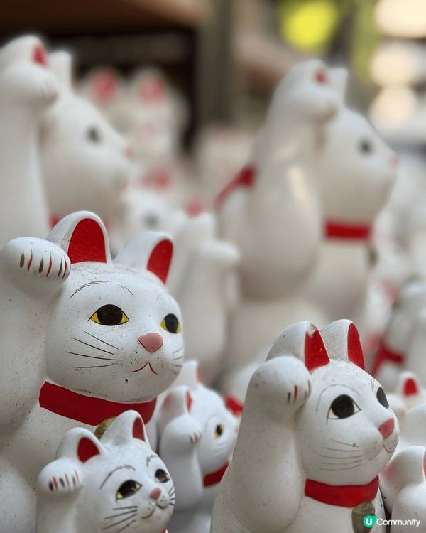 東京行程之一的《豪德寺》超多招財貓成為打卡位，求財運求福買馭...