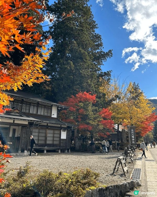 11月頭?日本白川鄉係欣賞紅葉?最佳時期，滿山秋色楓紅，再加...