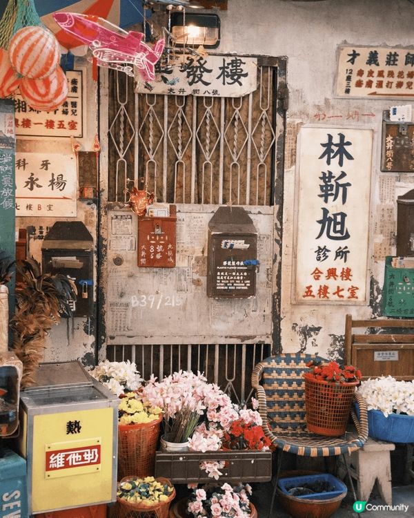 ??九龍城寨走進現實生活??