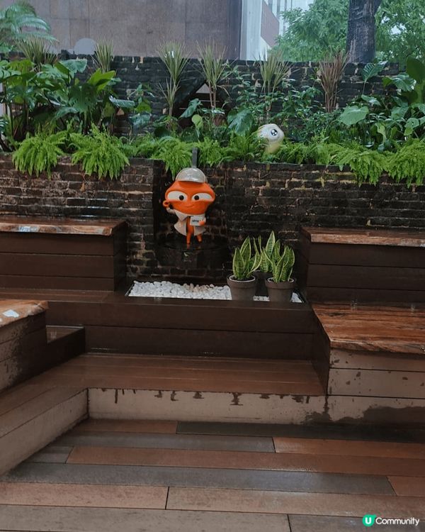 今年環境保護署於灣仔舊郵局重建了識碳館，此館開放給公眾預約參...