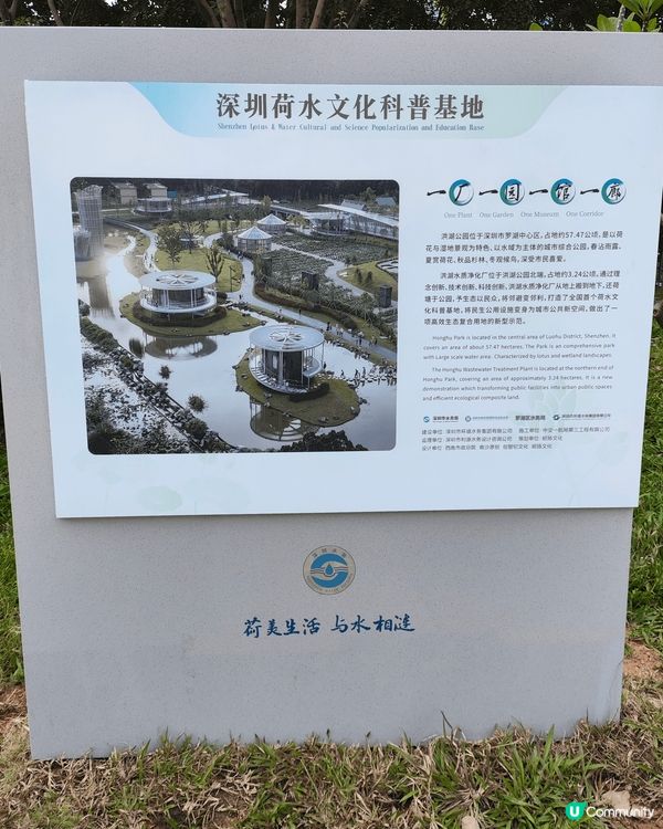 打卡點 深圳洪湖公園，羅湖口岸乘 82 號巴士(不用 30 ...