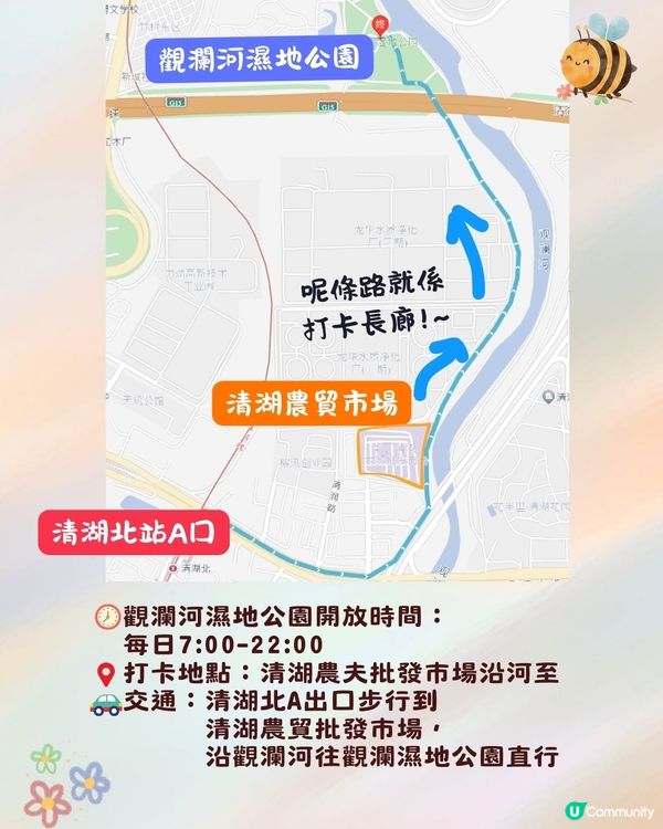 深圳異木棉打卡地4大推介🌸1公里花海河畔長廊/絕美小森林公園🚗附交通資訊