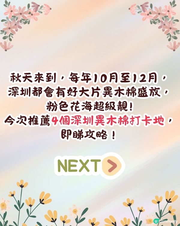 深圳異木棉打卡地4大推介🌸1公里花海河畔長廊/絕美小森林公園🚗附交通資訊