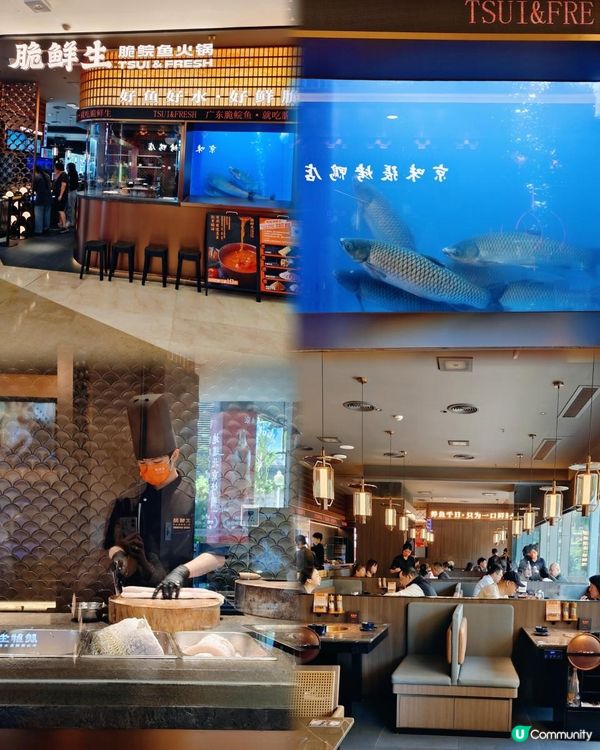 📍深圳必吃~脆鮮生·脆鯇魚火鍋🐟🔥 