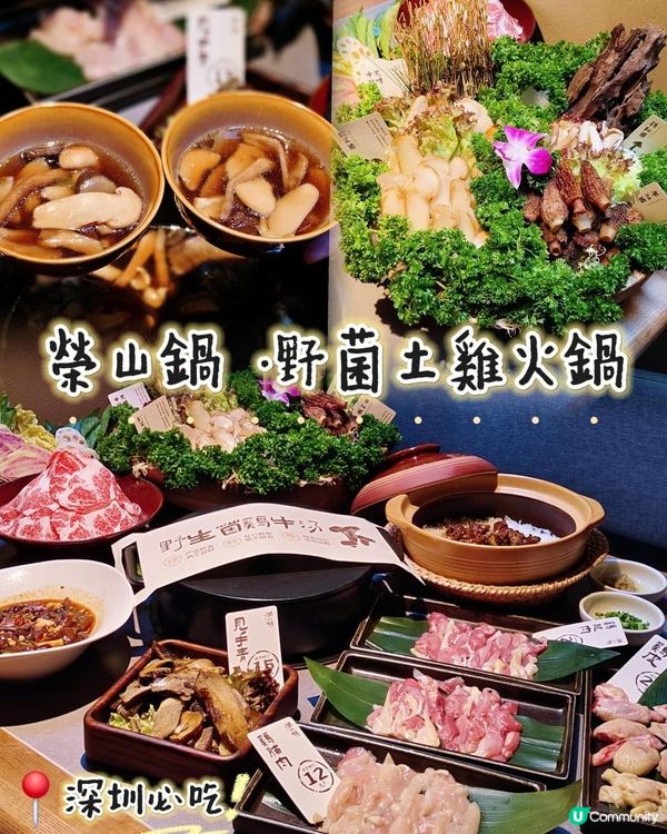 📍深圳必吃~榮山鍋·野菌土雞火鍋🍄 
