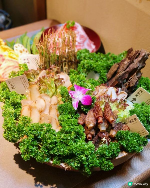 📍深圳必吃~榮山鍋·野菌土雞火鍋🍄 