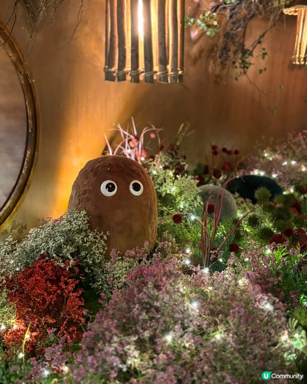 Pacific Place 聖誕🎄