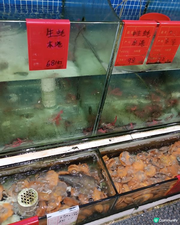 惠州團品嚐高質和鮮甜惹味鮑魚海鮮大餐🦞！🤤