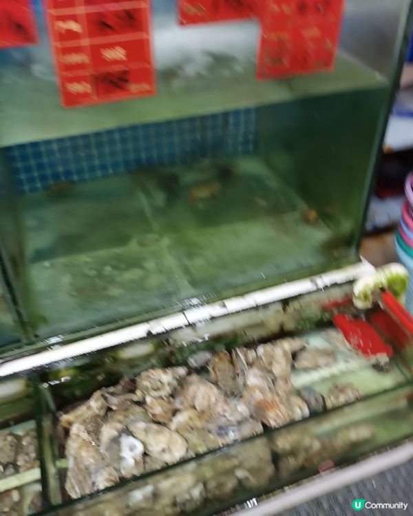 惠州團品嚐高質和鮮甜惹味鮑魚海鮮大餐🦞！🤤
