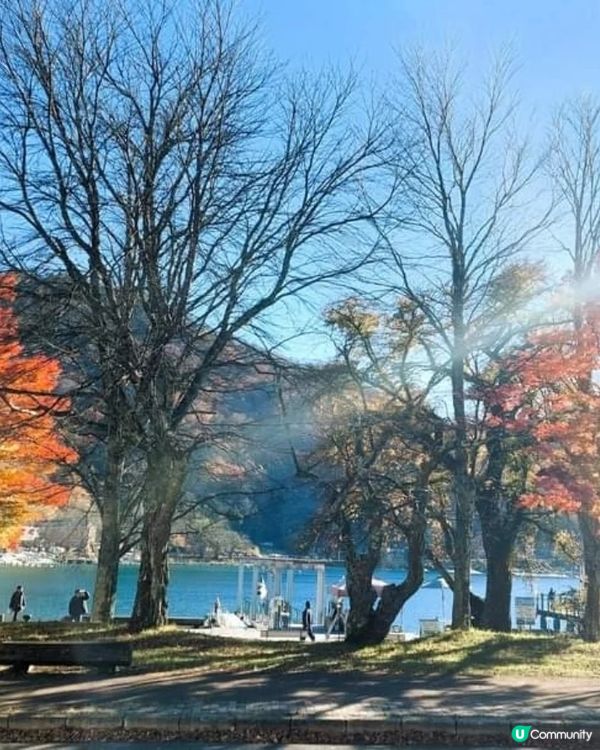 日光紅葉🍁 中禪寺湖美景😍
