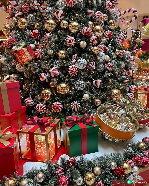 TKO popcorn 🎄 🤶 Christmas tree