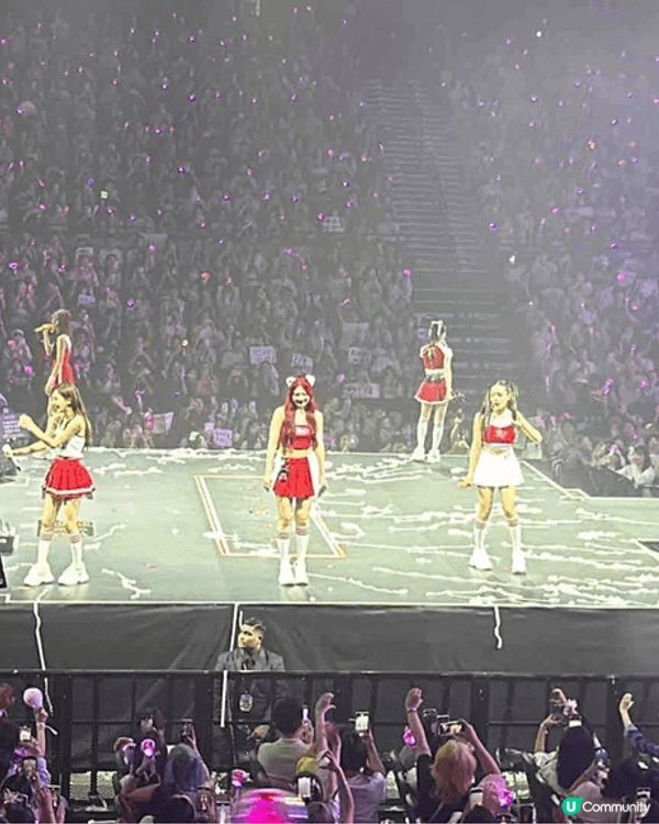 追星必到熱點澳門及深圳，享受追星的快樂，看看演唱會拍人生四格...