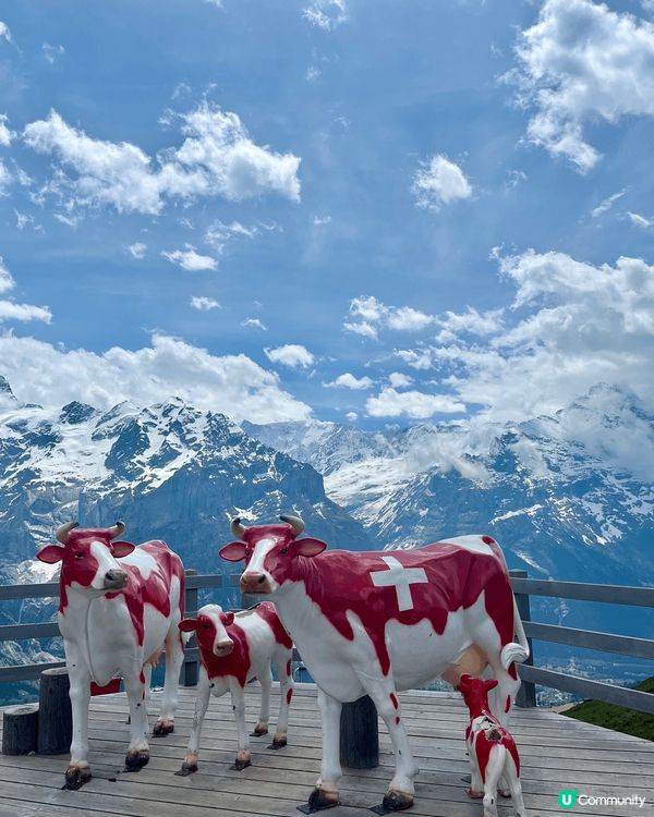 瑞士最多活動玩的山 - First🏔️ 