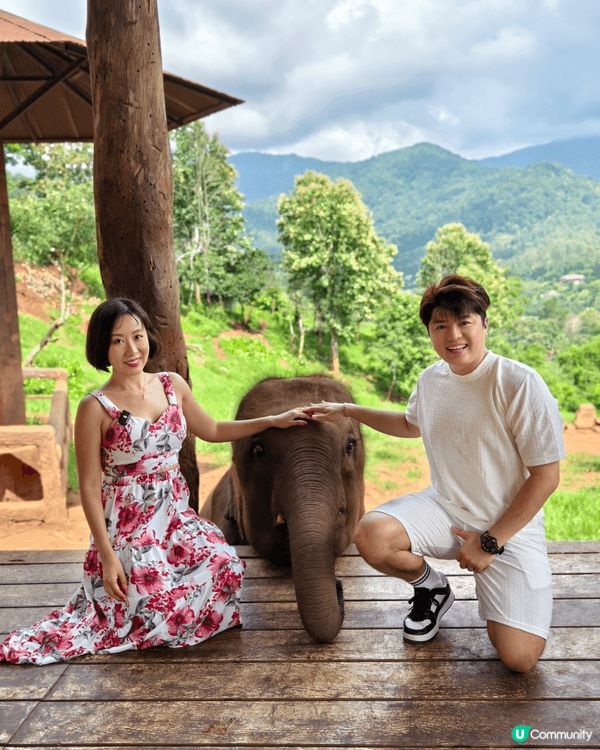 清邁一日遊行程推介！先去大象咖啡廳Elefin Farm &...