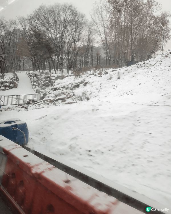 韓國聖誕節。之旅