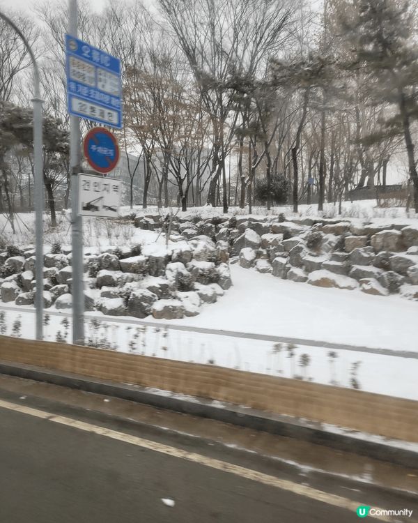 韓國聖誕節。之旅