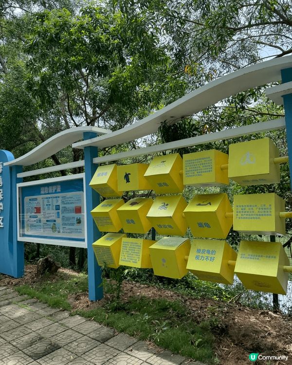 惠州海龜保育中心，介紹了很多有關海龜繁殖的資料，而且位置風景...