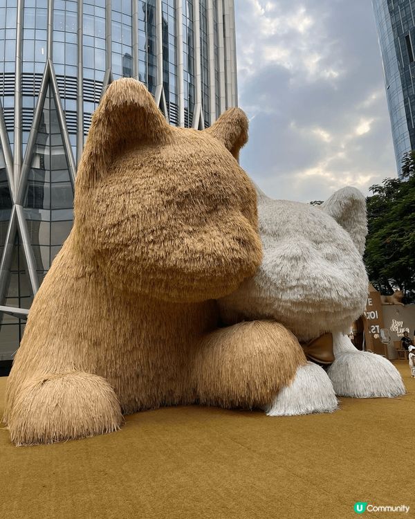 深圳灣又一熱門打卡位！深圳灣萬象城Bay de Luna巨型...