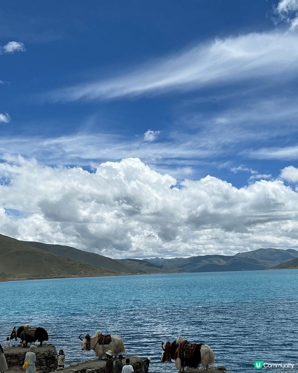 羊卓雍湖 又名 羊卓雍措 又名羊湖