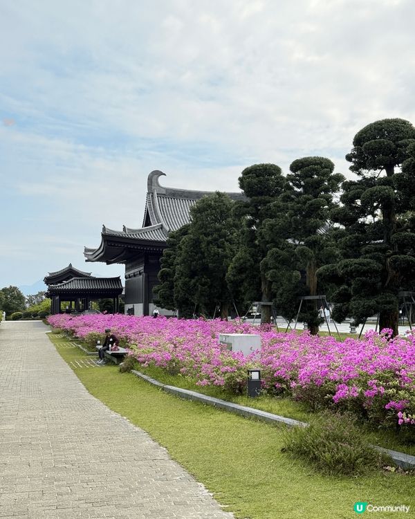 又係辣媽好介紹🤗