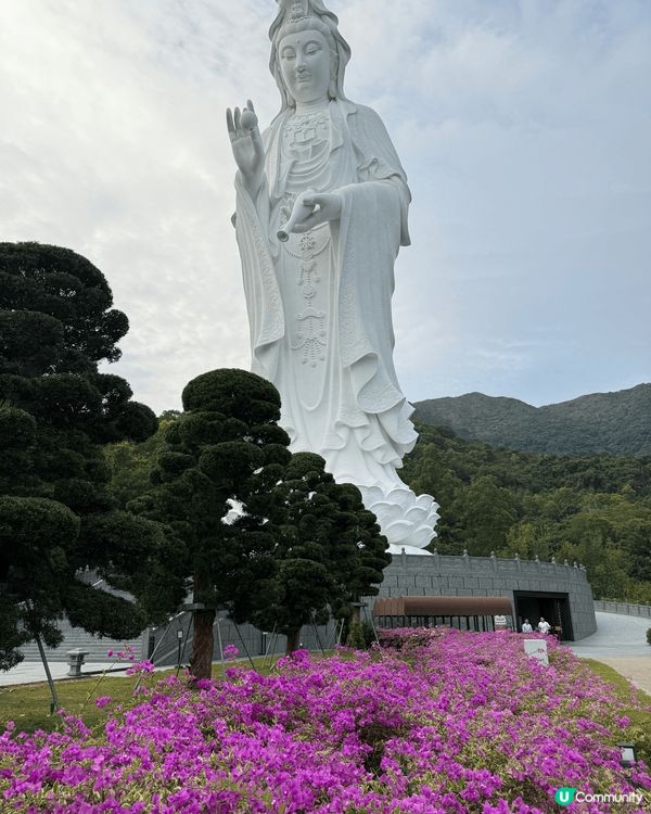 又係辣媽好介紹🤗