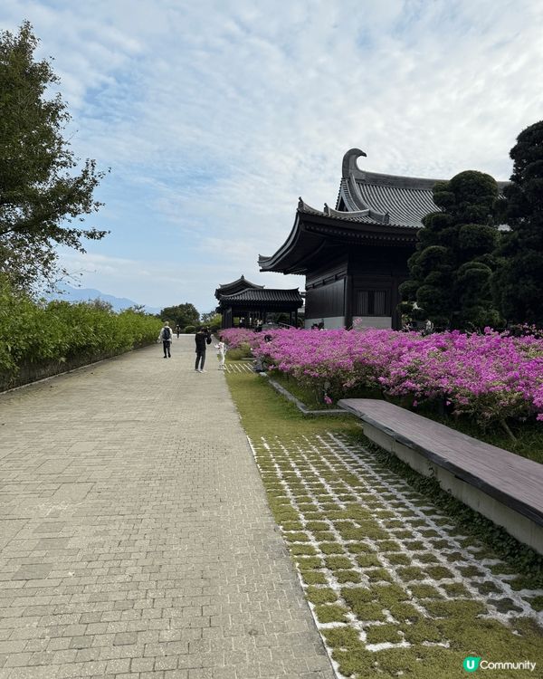 又係辣媽好介紹🤗