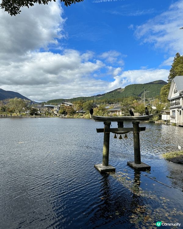 日本參加了一日團去了熊本帶湯布院，行程很豐富多彩繽紛多彩