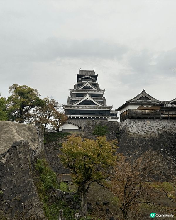 日本參加了一日團去了熊本帶湯布院，行程很豐富多彩繽紛多彩