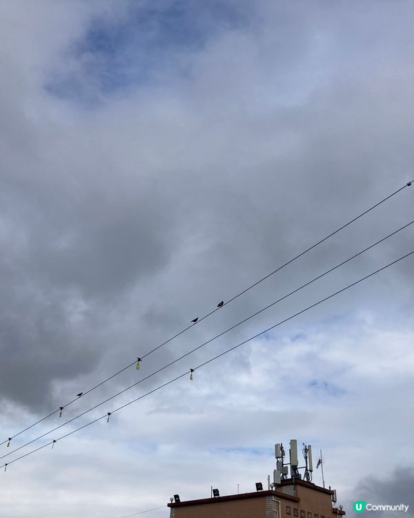 ## 網購平台推介🤩平靚正！