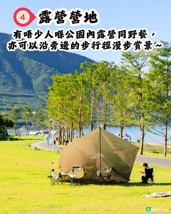 深圳打卡避世古村🛖I人必去‼️4大打卡位📸百年老宅/蘆葦棧道