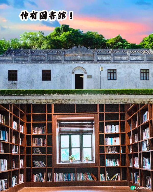 深圳打卡避世古村🛖I人必去‼️4大打卡位📸百年老宅/蘆葦棧道