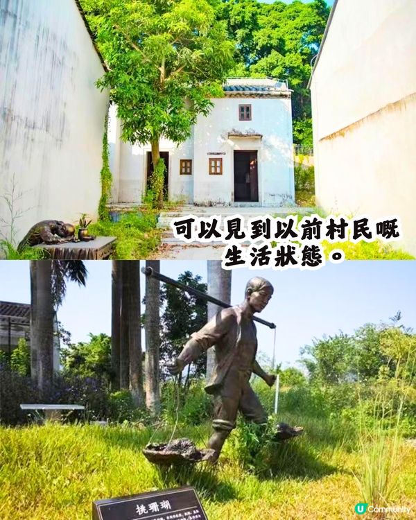 深圳打卡避世古村🛖I人必去‼️4大打卡位📸百年老宅/蘆葦棧道