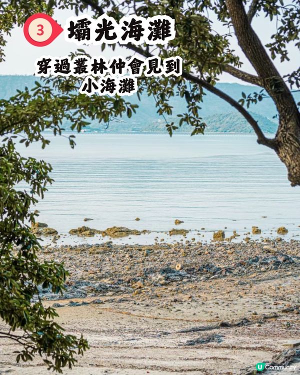 深圳打卡避世古村🛖I人必去‼️4大打卡位📸百年老宅/蘆葦棧道