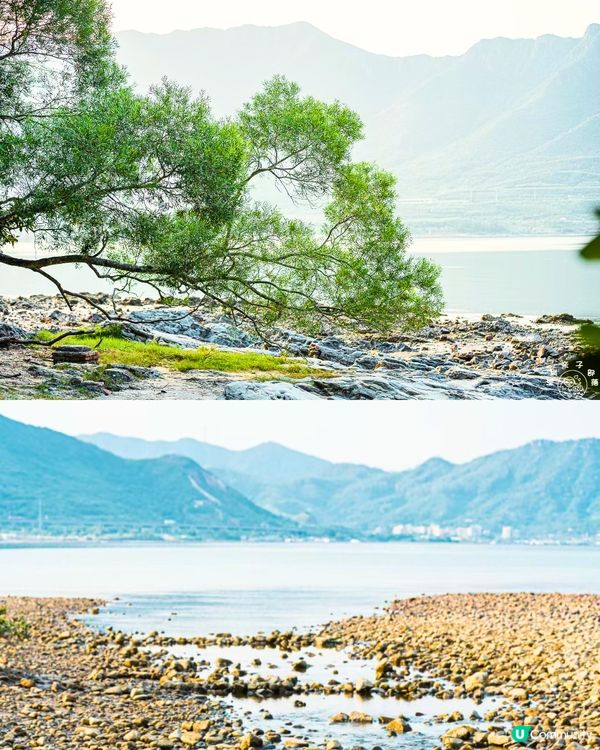 深圳打卡避世古村🛖I人必去‼️4大打卡位📸百年老宅/蘆葦棧道