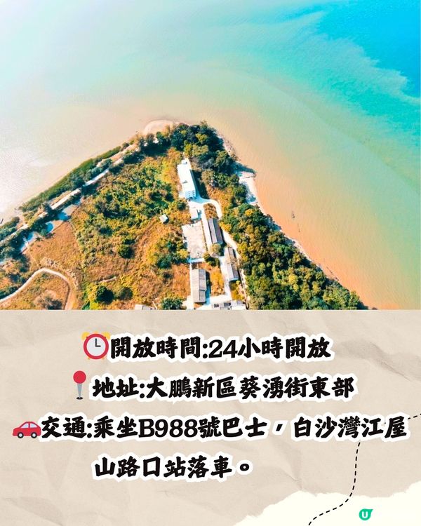 深圳打卡避世古村🛖I人必去‼️4大打卡位📸百年老宅/蘆葦棧道