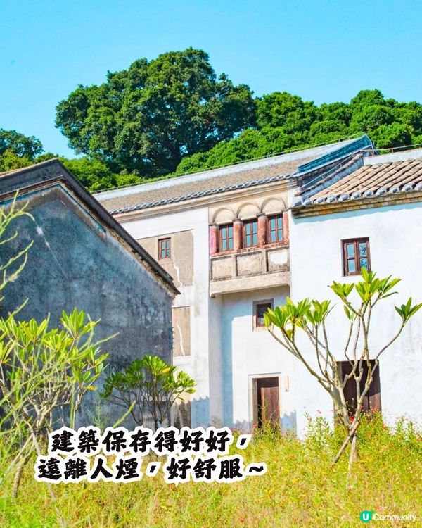 深圳打卡避世古村🛖I人必去‼️4大打卡位📸百年老宅/蘆葦棧道