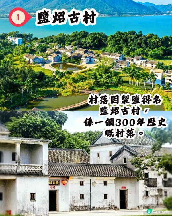 深圳打卡避世古村🛖I人必去‼️4大打卡位📸百年老宅/蘆葦棧道