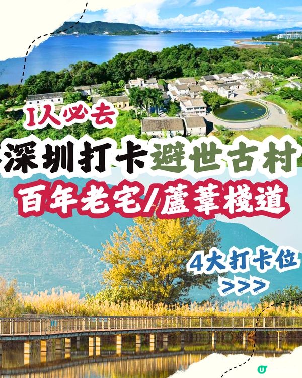 深圳打卡避世古村🛖I人必去‼️4大打卡位📸百年老宅/蘆葦棧道