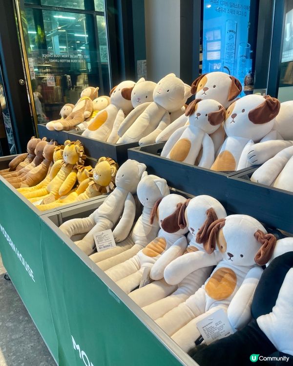 🇰🇷濟洲 家品店 Modern House（多圖）