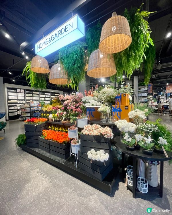 🇰🇷濟洲 家品店 Modern House（多圖）