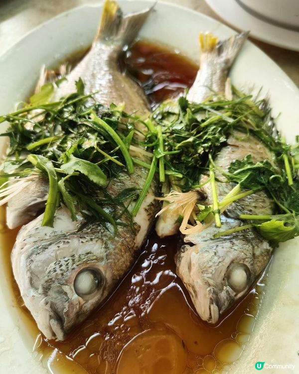 推介 離島「長洲」原味海鮮餐