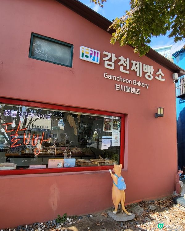 釜山甘川文化村～貓奴打卡