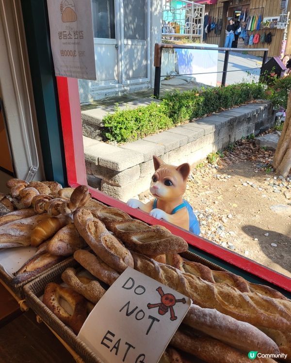 釜山甘川文化村～貓奴打卡